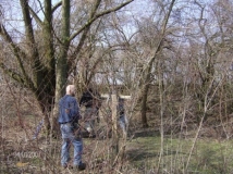 img_1235435228_5