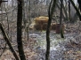 3D Archery